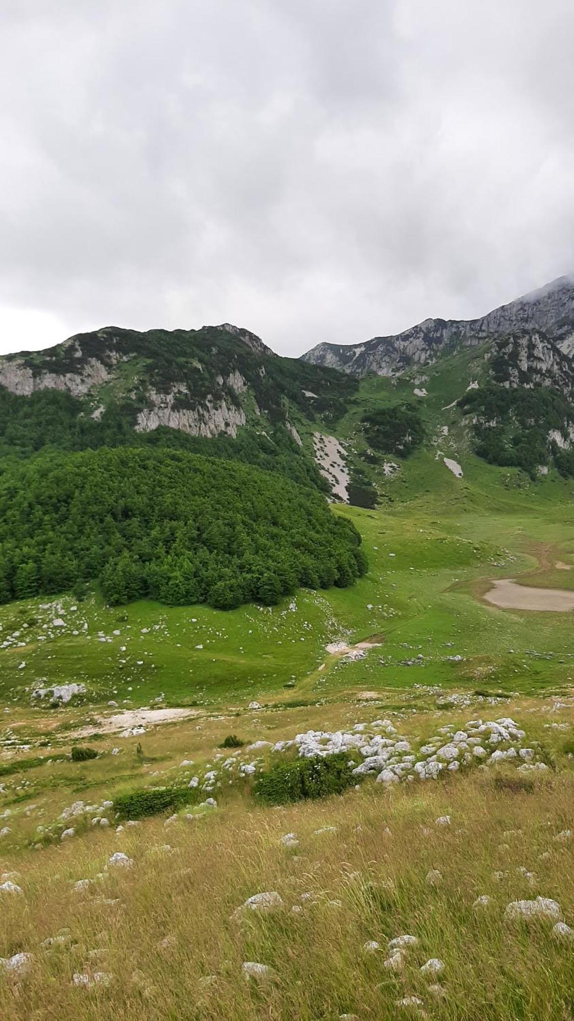 Apartments Durmitor Žabljak Eksteriør bilde