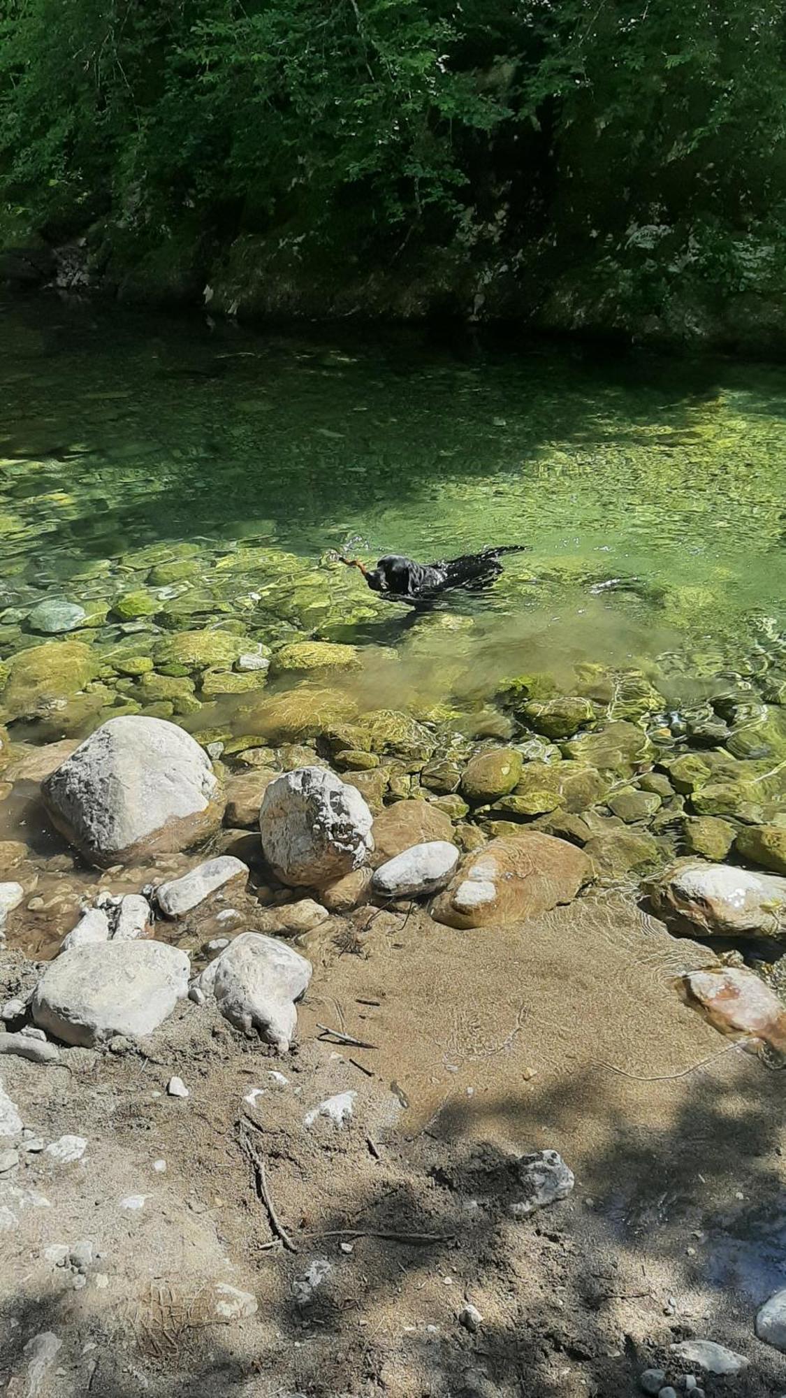 Apartments Durmitor Žabljak Eksteriør bilde