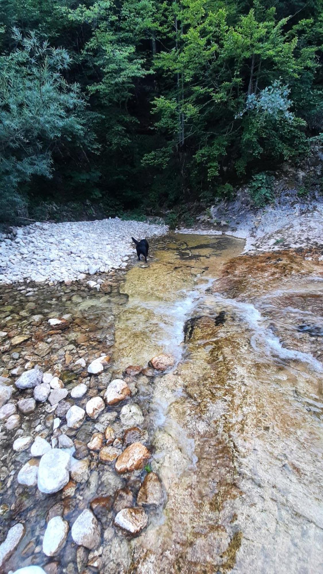 Apartments Durmitor Žabljak Eksteriør bilde
