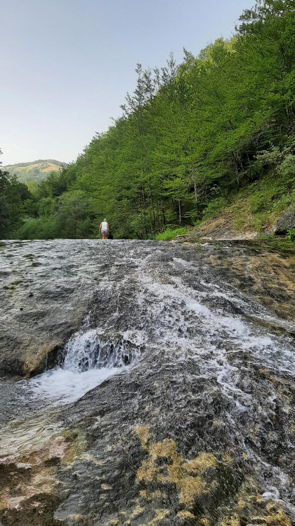 Apartments Durmitor Žabljak Eksteriør bilde