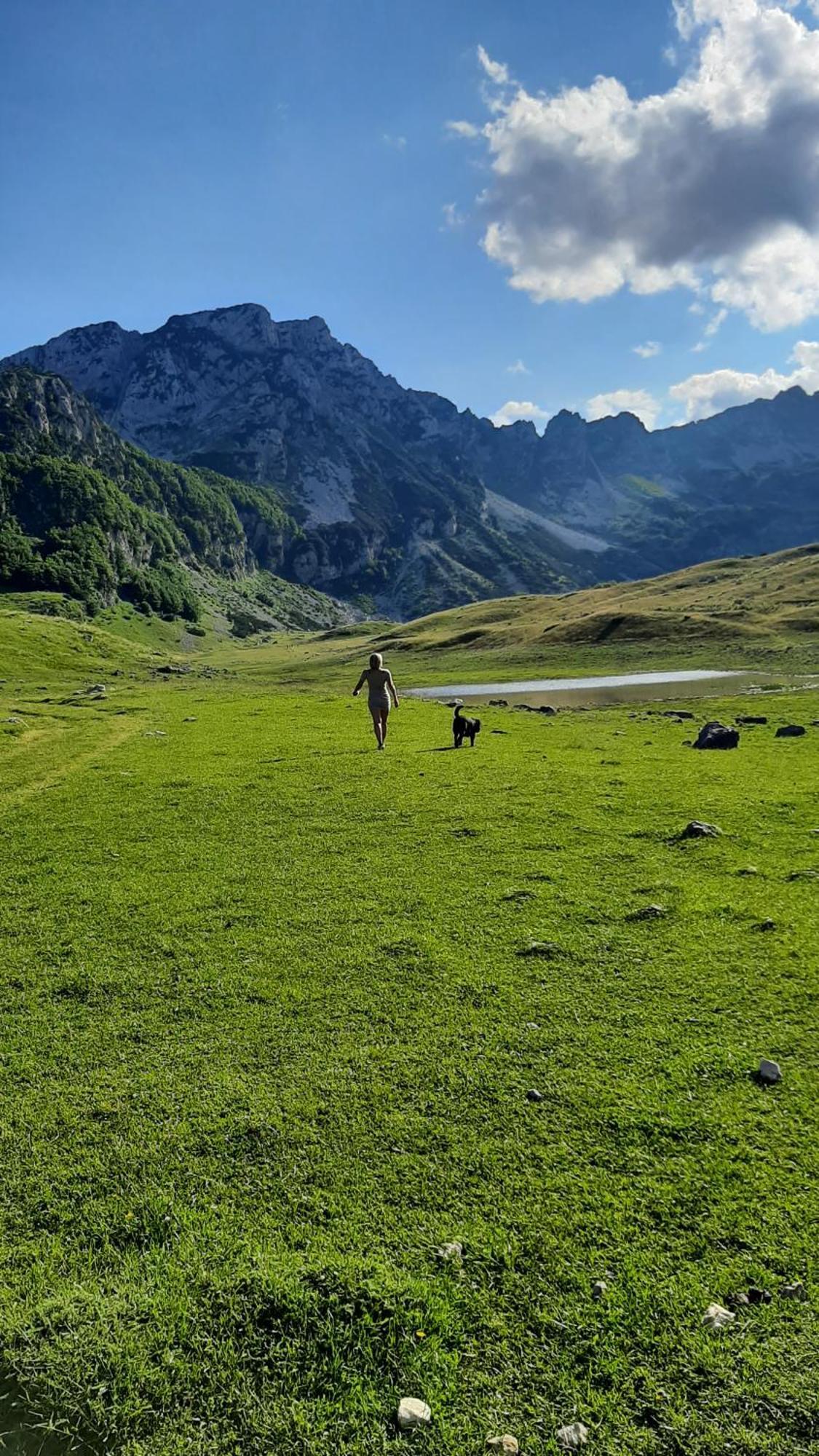 Apartments Durmitor Žabljak Eksteriør bilde