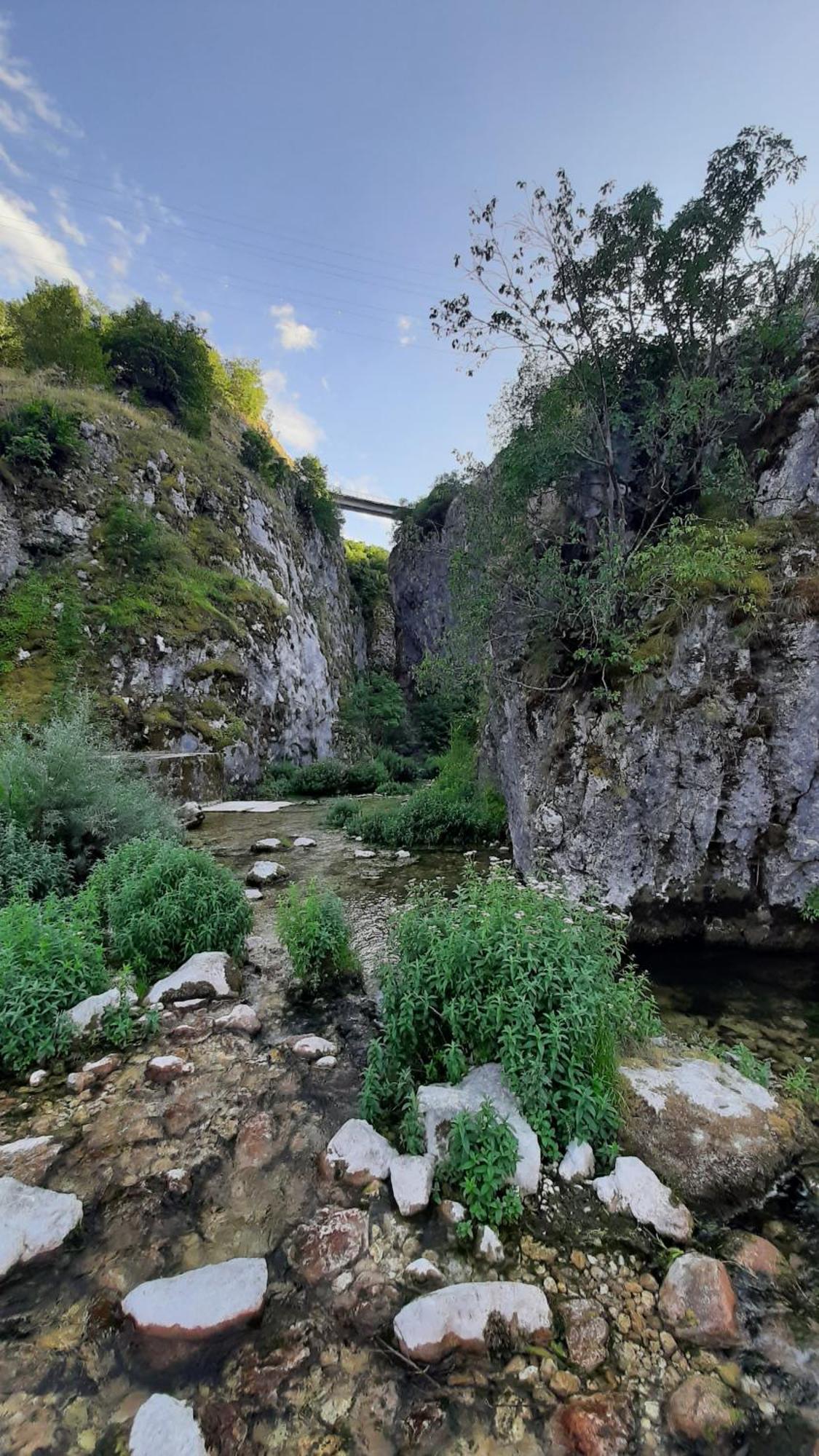 Apartments Durmitor Žabljak Eksteriør bilde