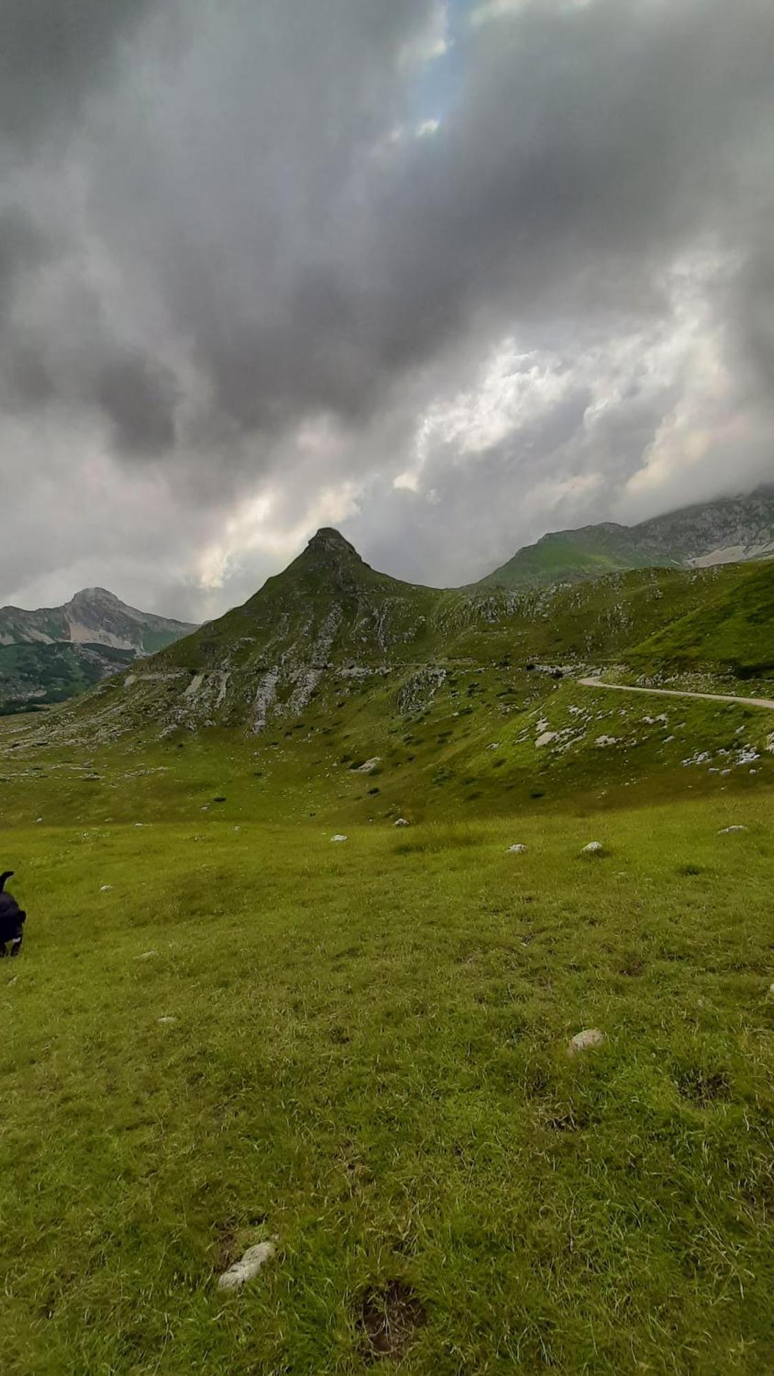 Apartments Durmitor Žabljak Eksteriør bilde