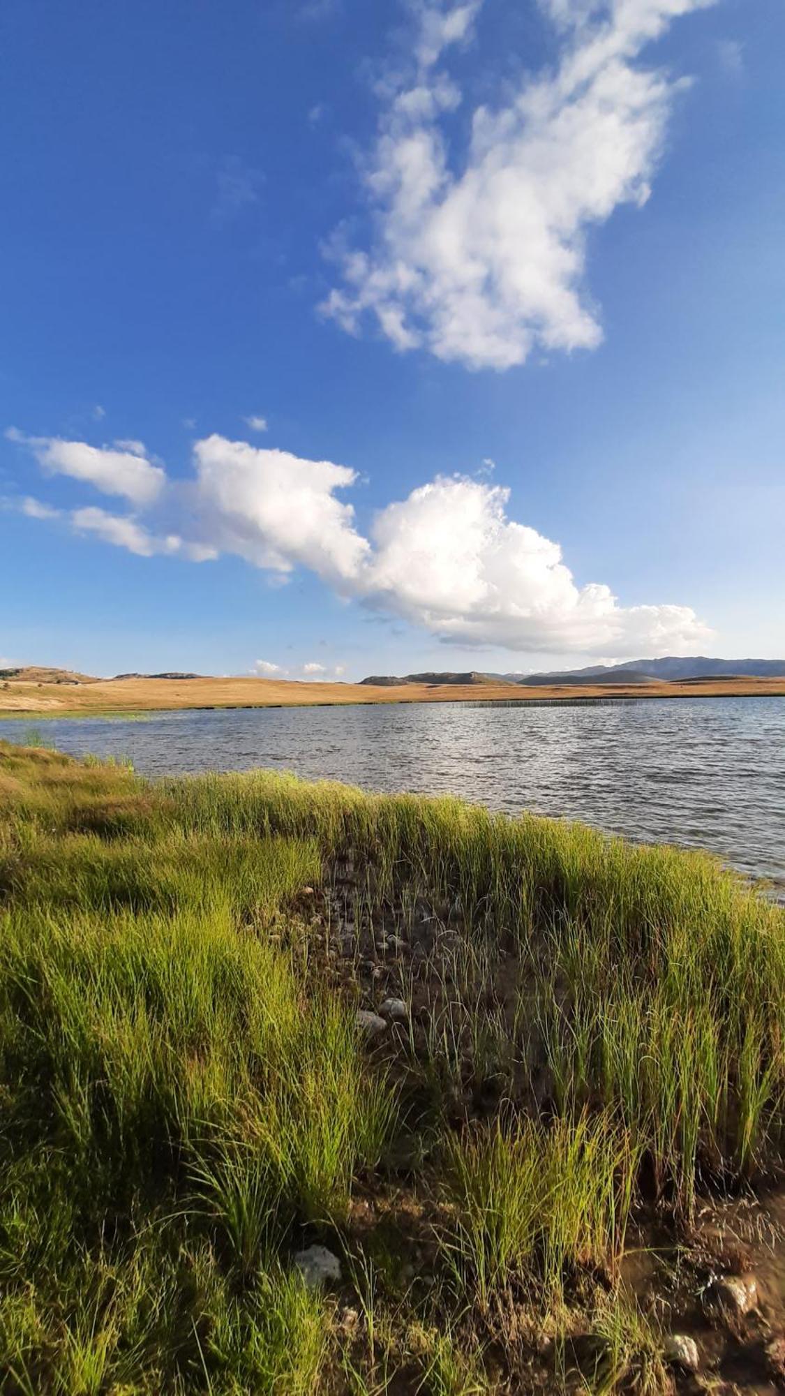 Apartments Durmitor Žabljak Eksteriør bilde
