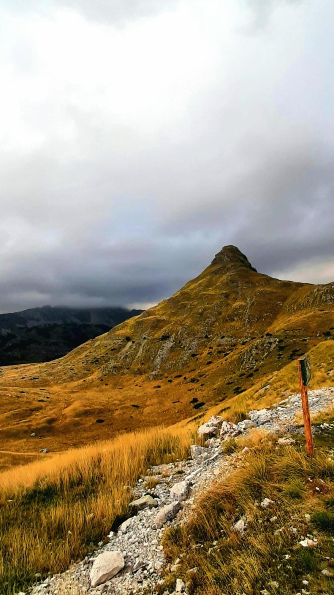 Apartments Durmitor Žabljak Eksteriør bilde
