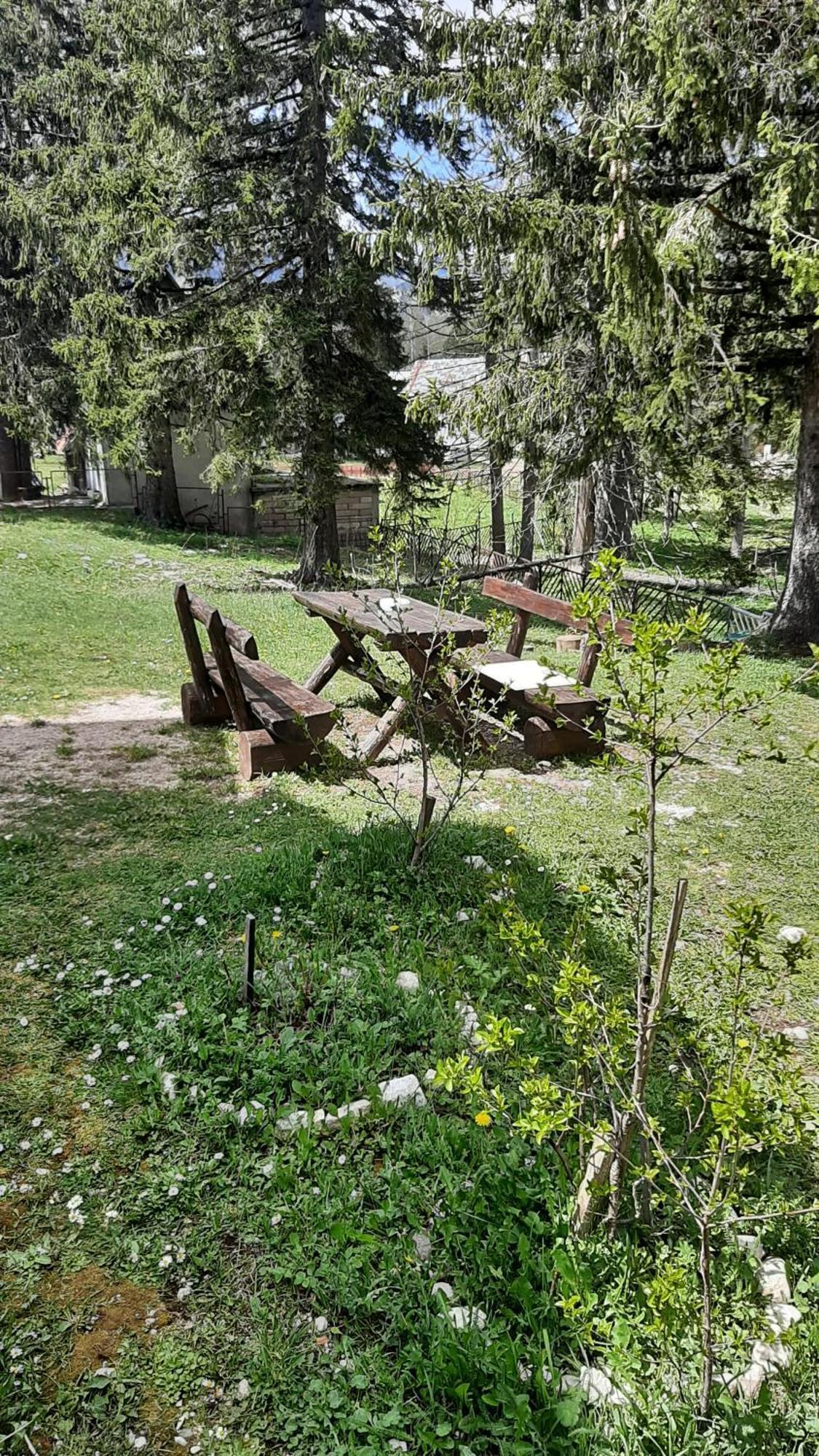 Apartments Durmitor Žabljak Eksteriør bilde